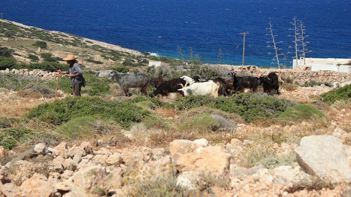 Στρατηγικές για Καλή Φυσική Κατάσταση